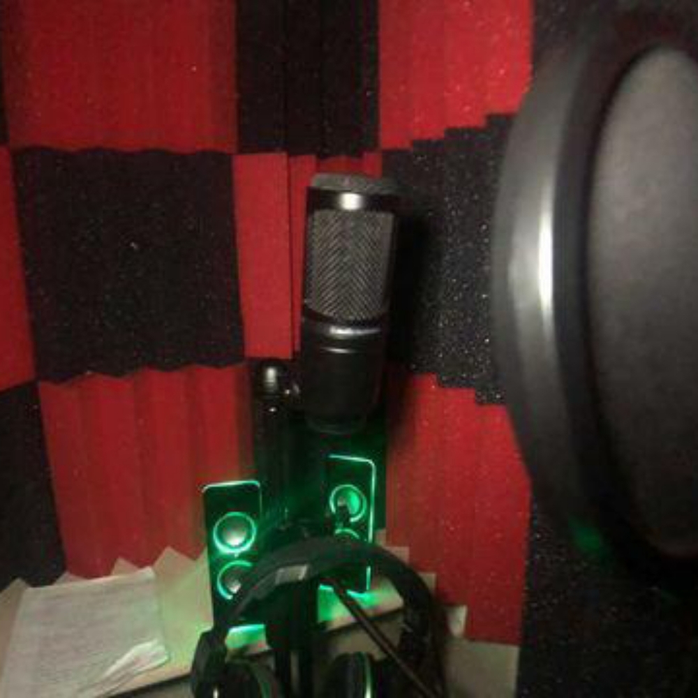 Microphone